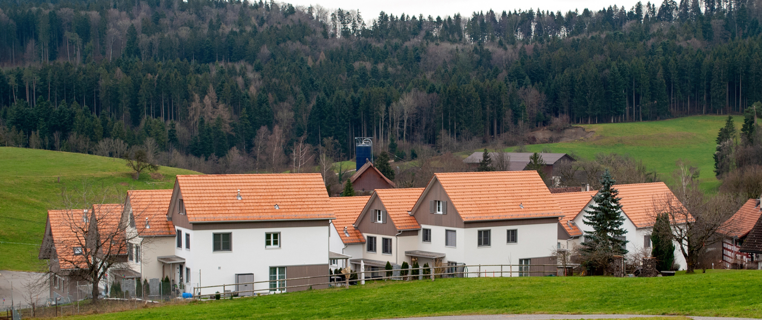 Projekt Schauenbergblick in Schlatt, EInfamilienhäuser